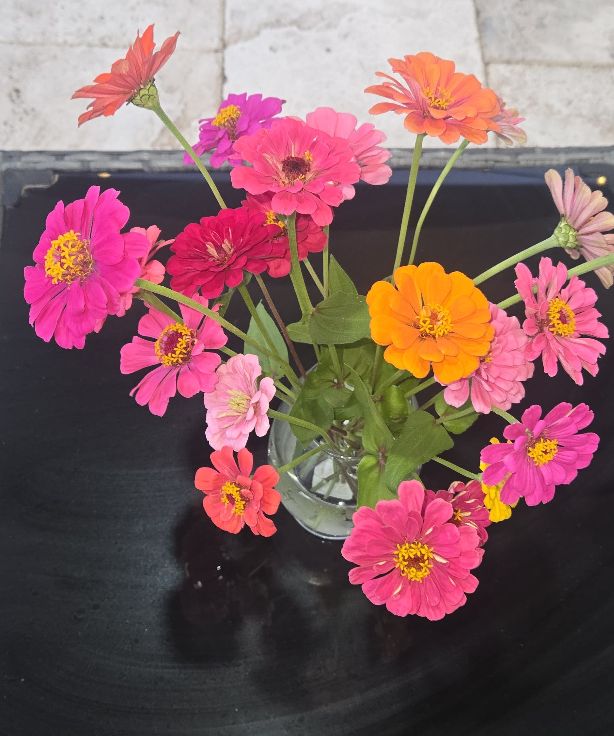 Seasonal Zinnia Flowers / One Monthly Bouquet